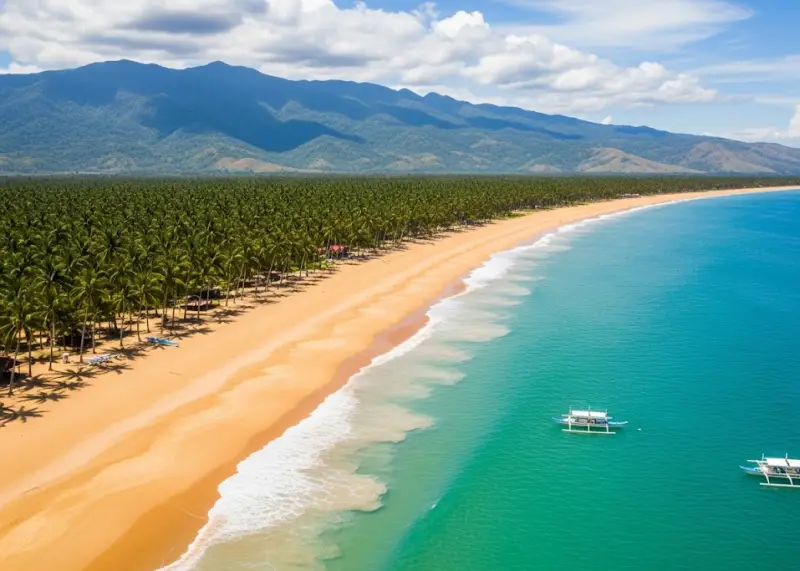 dahican beach davao oriental drone Drone view of Dahican Beach in Davao Oriental with curving golden sand, turquoise water, and mountains in the background.