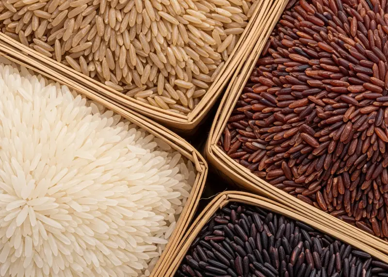 philippine rice varieties Close-up of different rice varieties-white, brown, red, and black-on bilao baskets.